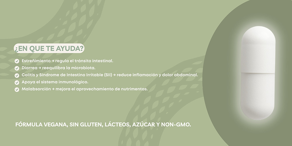 Probióticos y prebióticos en México: beneficios para digestión, microbiota y defensas