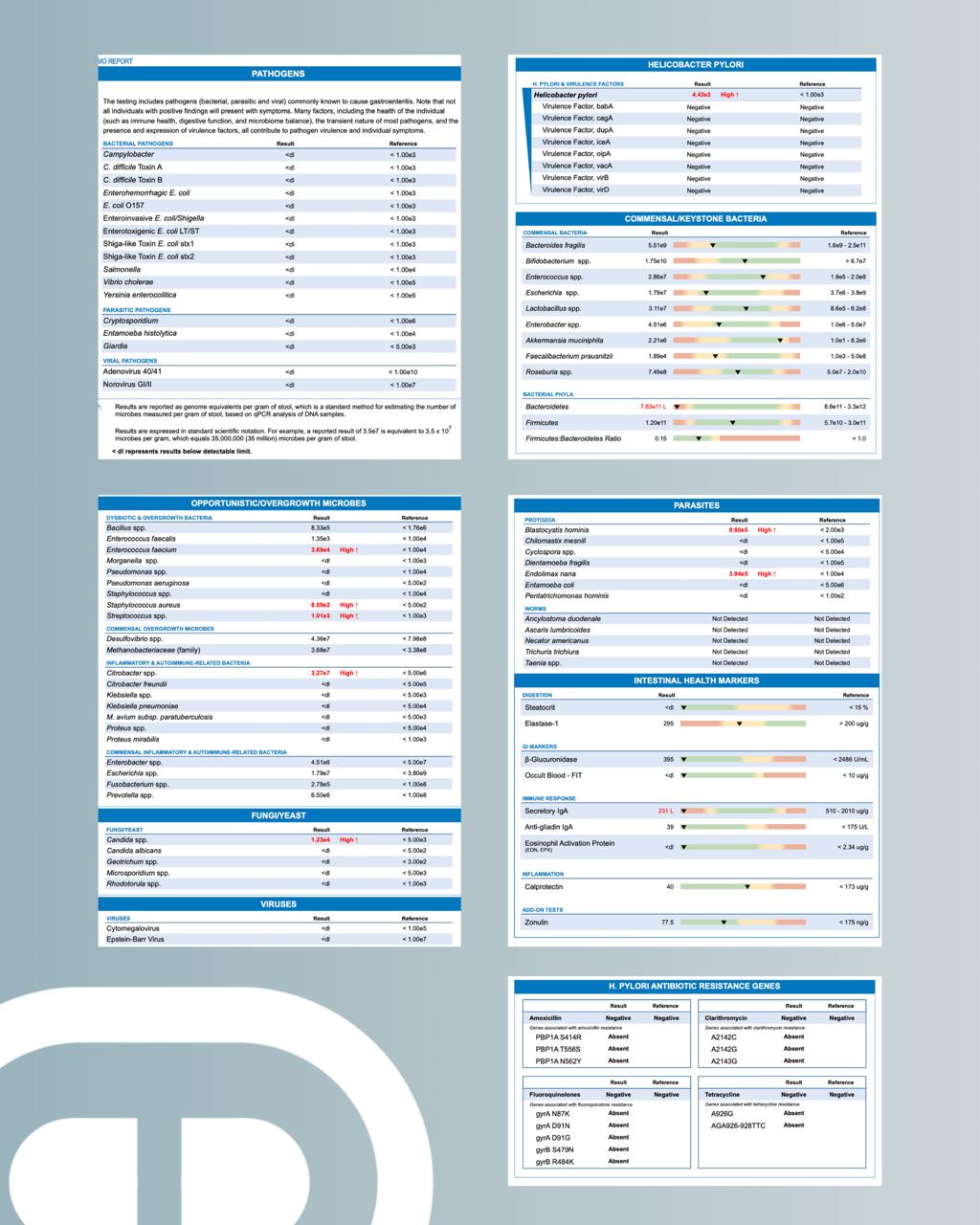 Gastro Test: Análisis Completo de Microbiota Intestinal - Imagen 6