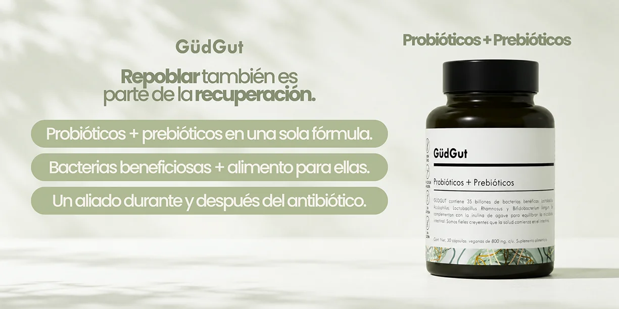 Probióticos y prebióticos para apoyar la recuperación de la microbiota intestinal