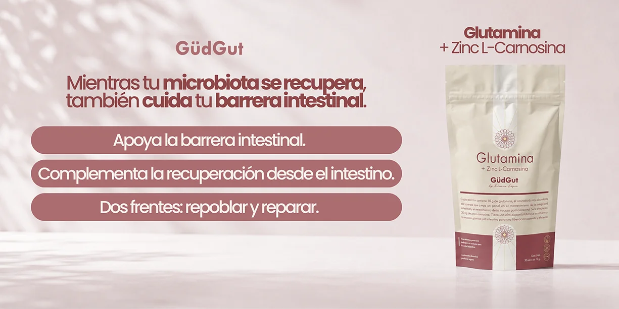 L-glutamina y zinc carnosina para apoyar la barrera intestinal